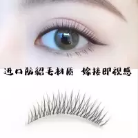 手工磨尖假睫毛 日式自然裸妆款透明梗化妆师跟妆直款 1支胶水