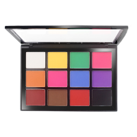 拉丁眼影绿色紫色蓝色黑色黄色哑光彩色眼影盘夏季儿童舞台妆专业 哑光12色眼影