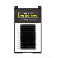 郁金香y型睫毛 嫁接爱情网编织款 交叉开花潘多拉网状浓密山茶花 C卷8mm