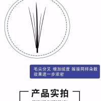 嫁接睫毛五根夹扁毛朵花自己种植貂绒毛芭比娃娃款假睫毛浓密自然 8mm