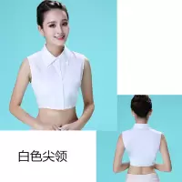 假领子女雪纺立领假领子秋冬假衬衫领子蕾丝毛衣装饰领百搭 白色尖领 S