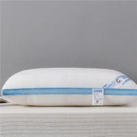 枕芯一对装护颈椎枕头单人家用整头双人一对男女助睡眠记忆棉高低 蓝边款一只装[可水洗机]