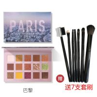 菲鹿儿旅行眼影盘15色ins超火亮片闪粉珠光学生闪钻星点七彩花瓣 01 巴黎(关注店铺送七支套刷)