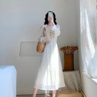 原创刺绣遮肚显瘦气质茶歇法式复古小众雪纺刺绣连衣裙时尚显瘦款 杏色长袖 S