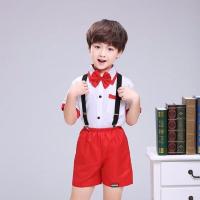 儿童演出服装女童满天星花朵公主裙纱裙男女孩合唱舞蹈服表演服 红色 沿边背带 100