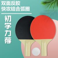 儿童娱乐迷你乒乓球拍乒乓球套装初学体验室内趣味休闲亲子训练 双拍+2球+拍包