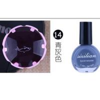 10ML美甲印花版印花指甲油钢板模板 专用速干印花油印章彩绘DIY 印花油14