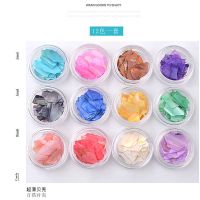 美甲超薄日系贝壳片鲍鱼粉碎五彩碎片指甲贴片装饰品亮片12色套装 12色天然贝壳片套装