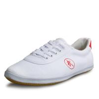 双星武术鞋牛筋底帆布鞋练武功夫太极鞋跆拳道男鞋女鞋防滑晨练鞋 白色 28