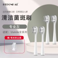 [48小时发货]适用于usmile电动牙刷头Y1软毛Y4/U2/P1少女粉色P3呵护专业款刷头 usmile[专业灰]清