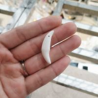 狼牙项链黑狗牙男女吊坠社会吴京同款韩版辟邪保平安骨质项链宝宝 单个吊坠 牙长3.0-3.5厘米