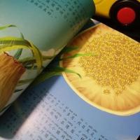 法布尔昆虫记彩图注音版小学生儿童注音版绘本6-12岁课外阅读书籍 10册精品推荐.(券后超低价)