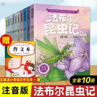正版 法布尔昆虫记注音版全套10册完整版小学生一二三年级课外阅
