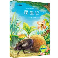 法布尔正版昆虫记合集全10册小学生三四五八年级必读课外书 昆虫记(注音版)