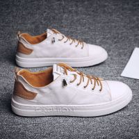 鞋子男潮鞋秋冬新款雨伞布百搭小白鞋男士刺绣小雏菊学生休闲板鞋 K25白棕 39