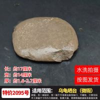 乌龟晒台石黄腊石特价一物一拍鹅卵石表面轻微不平或边角有小缺陷 特价2095号