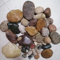 丹东草河天然鹅卵石园林铺路鱼缸造景青龙岩石花盆铺面工程铺路 1至3厘米 3斤