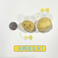 希腊天然海绵 美术海绵水彩海绵 地中海棉 水彩肌理工具 小号1.5-2.0英寸