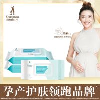 袋鼠妈妈 孕产女性护理湿巾 产前产后生理期私处温和湿巾60抽*3