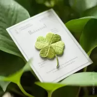 可爱四叶草刺绣烫布贴diy手账本衣服装饰贴修补破洞贴补丁熨烫贴 四叶草 热熔胶款