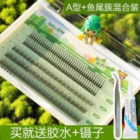 [48小时发货]荔树假睫毛仙子毛女单簇A型超自然仿真分段单根嫁接套装自粘眼睫 荔树A型+鱼尾混合装(送胶水+镊子)