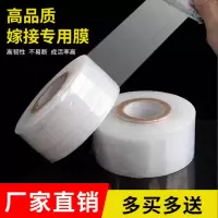 环保嫁接膜果树接树膜树苗膜工业膜缠绕膜自粘PE保护膜塑料膜薄膜 PE嫁接膜3CM 1卷