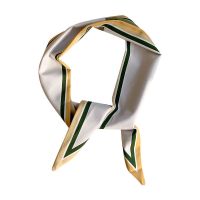 2021年新款春夏ins丝巾女长条窄飘带百搭小领巾飘带装饰绑包腰带 咨询客服备用