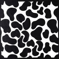 学生奶牛头巾女潮酷斑马纹嘻哈方巾篮球吸汗带街舞hiphop腰巾发带 奶牛单头巾