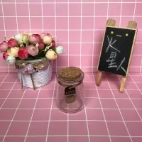 玻璃瓶100ml 200ml木塞小布丁瓶小玻璃瓶无铅耐高温微景观许愿瓶 1个 布丁瓶100ml