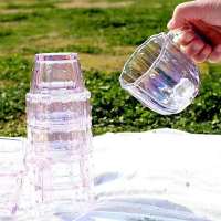 冬季家用仙人掌玻璃水杯套装6只耐热简约茶杯ins家用玻璃杯子 电镀炫彩粉6件套