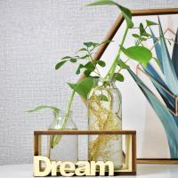 绿萝水培木架摆件家居客厅桌面装饰水培植物玻璃花瓶插花器皿 复古dream2瓶灯串和随机植物