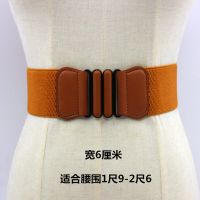 松紧腰封女装饰宽欧美简约百搭复古腰带潮流款搭配连衣裙子羽绒服 6.0厘米宽驼色
