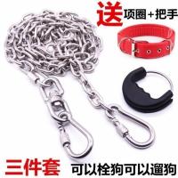 304不锈钢狗链子防咬遛狗铁链狗狗牵引绳项圈小型中型大型犬狗绳 2mm粗链条[10斤内小型犬] 1.2米长