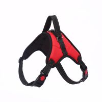 狗狗牵引绳背心式泰迪柯基法斗柴犬中小型泰迪胸背遛狗宠物胸背带 红色单独胸背 XS型号(建议重量3-10)