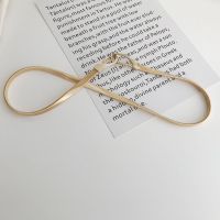 弹力带扣细腰带女装饰连衣裙ins潮配裙子衬衫松紧腰链简约百搭夏 挂扣对扣 60cm