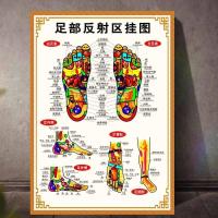 人体足部反射区挂图足底按摩穴位足疗脚底中医养生美容院装饰画 足部反射区挂图 40*60cmPP背胶(撕下即贴)