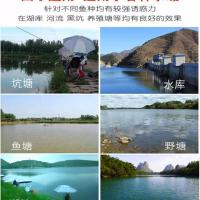 小旋风重窝颗粒鱼饵料青鱼草鱼窝料黑坑钓鱼饵料大物通杀赛道战青 橙色水密桃味 480克装 送皮筋小药