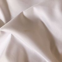 白色拍照背景布大尺寸简约北欧摄影挂墙布影子舞皮影戏表演幕布 白色宽度1.5米加厚 微瑕 1米长