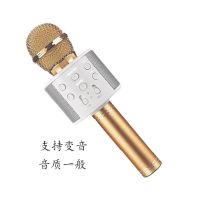 无线话筒麦克风电脑电视k歌设备投影仪KTV专用话筒蓝牙连接 中文普通版(土豪金)