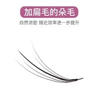 种植嫁接睫毛芭比娃娃款5根中间夹扁毛自嫁接朵花假睫毛单株单簇 8