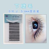 0.10下睫毛 嫁接睫毛单根柔软蚕丝蛋白美睫种植自然眼睫毛混合装 黑色 0.10 J