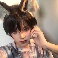 假发男万用正太少年短发日常cos假毛韩版帅气自然蓬松基佬全头套 黑色 送发网夹子