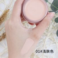 Posealing铂茜妮轻奢无暇美肌遮瑕膏强力遮盖斑点黑眼圈雀斑 1#浅肤色一盒