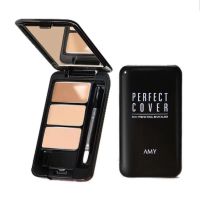 Amy/安美三色遮瑕膏盘笔遮盖黑眼圈斑点痘痘保湿修容脸唇部遮瑕液 amy/遮瑕[自然色]