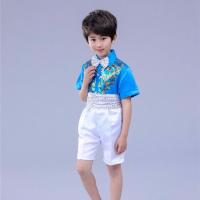 六一儿童节演出服花仙子女裙蓬蓬裙公主裙幼儿园夏季女童表演服饰 男款蓝色 110