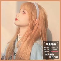 砂金粉色显白染发剂2021流行色自己在家樱花蜜桃粉金色植物染发膏 砂金粉(头发必须是8度黄选)