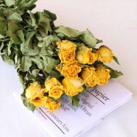 云南小玫瑰蔷薇真花干花 客厅装饰 DIY 小饰品 床头柜书桌摆放 黄色小玫瑰 (送情人草) 5朵花头(不含花篮)