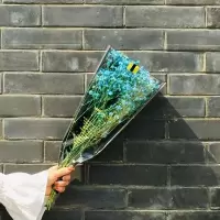 mini黑袋满天星小花束工厂直批超低价格生日花束夜市街边花束神器 蓝色 勿忘我(2-5支)颜色随机