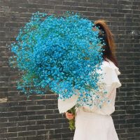 满天星干花花束客厅装饰摆件真花鲜花云南直发批发生日礼物送人 天蓝满天星 mini版满天星5-9支/扎
