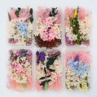 DIY新娘头饰花环相框团扇浮游花干花材料包永生花幼儿园手工活动 干花材料包1盒